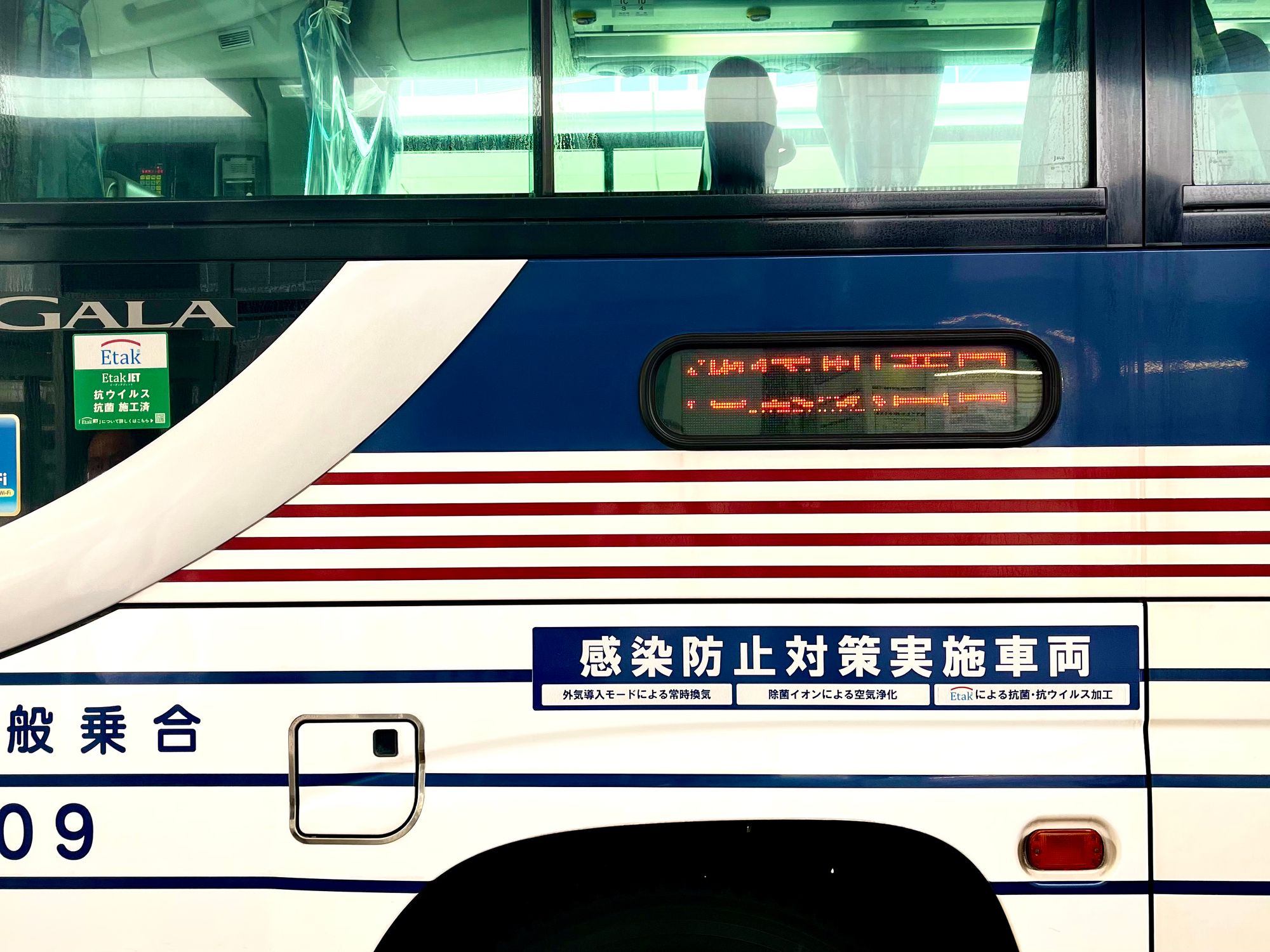 9年後の帰郷